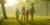 How Does Your Environment Affect Your Wellness?