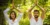 The Connection Between Your Wellness and Your Environment
