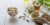 How to Choose High-Quality Supplements That Are Right for You